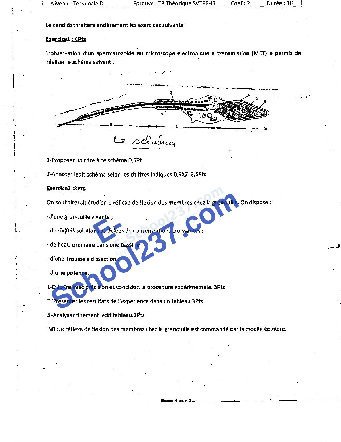 SVTEEHB_Tle_D_TP_Theorique_Mini_Session_College_FX_Vogt_01_Fevrier_2022_E-School237
